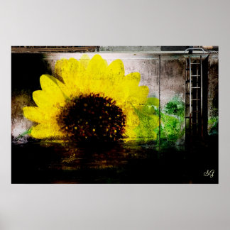 Poster Sunflower Image Print