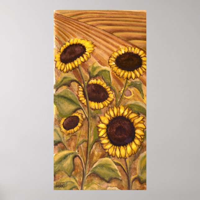 Pôster Sunflower Painting Canadense Landscape Art Impress (Frente)