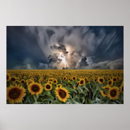 Poster Sunflowers In A Storm