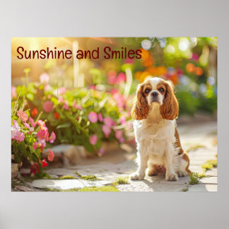 Poster Sunlit Garden Stroll: Cavalier King Charles Spanie