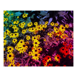 Pôster Sunlit Meadow