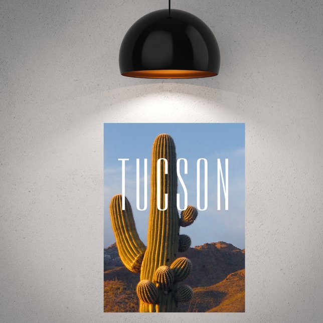 Poster Sunlit Saguaro Tucson Scene (Criador carregado)
