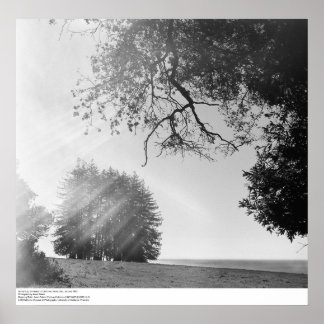 Poster Sunny Day, Universidade da Califórnia, Papais noei