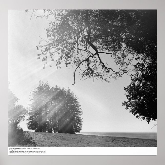 Poster Sunny Day, Universidade da Califórnia, Papais noei (Frente)