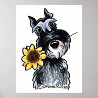 Sunny Schnauzer Clássico