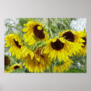 Pôster Sunny Sunflower Morn