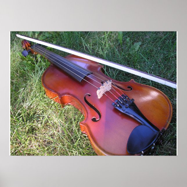 Pôster Sunny Violin (Frente)