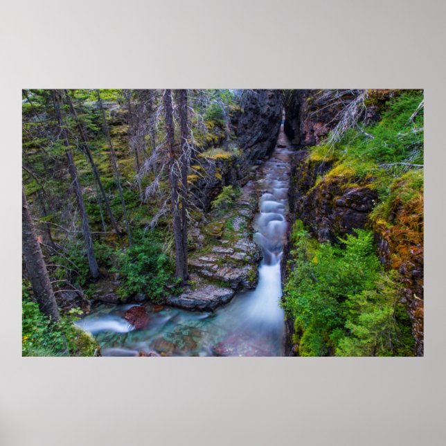 Poster Sunrift Gorge In Glacier National Park, Montana (Frente)