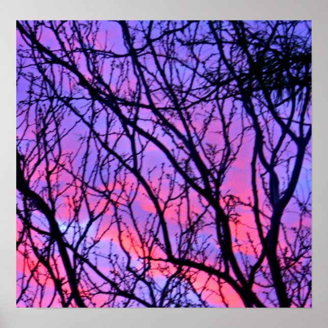 Pôster Sunrise Silohuette (Frente)