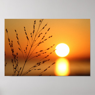 Poster Sunset