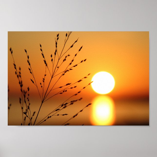 Poster Sunset (Frente)