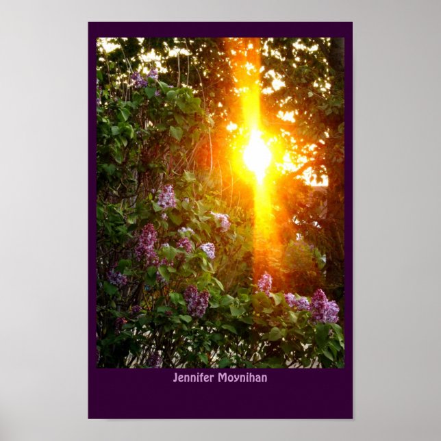 Pôster Sunset (Frente)