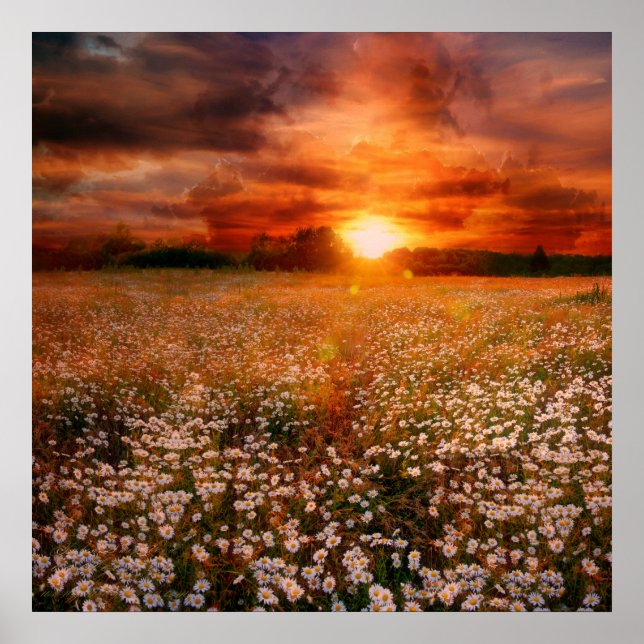 Pôster Sunset (Frente)