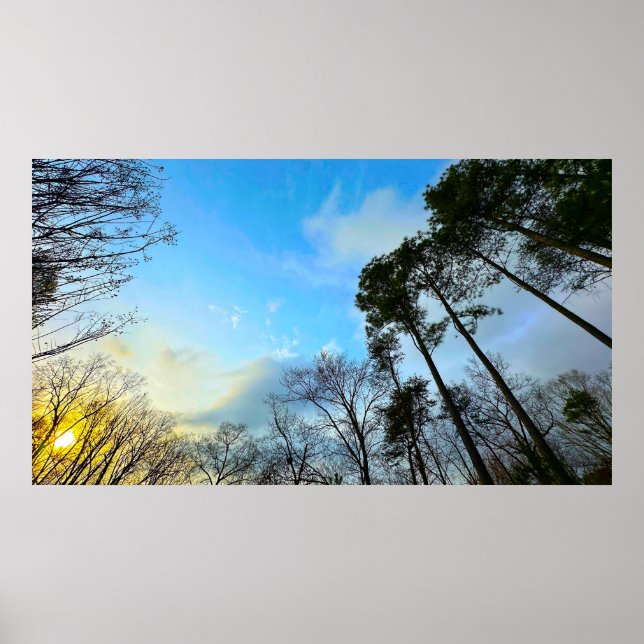 Poster Sunset (Frente)