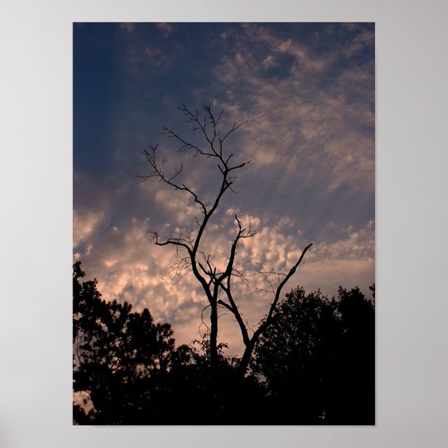 Pôster Sunset 18 (Frente)