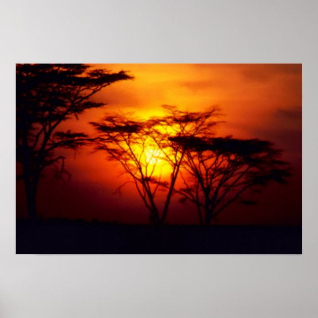 Poster sunset africano (Frente)