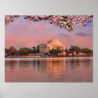 Poster Sunset at Jeferson Memorial with Cherry Blossoms