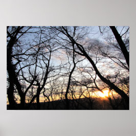 Poster Sunset através de sucursais