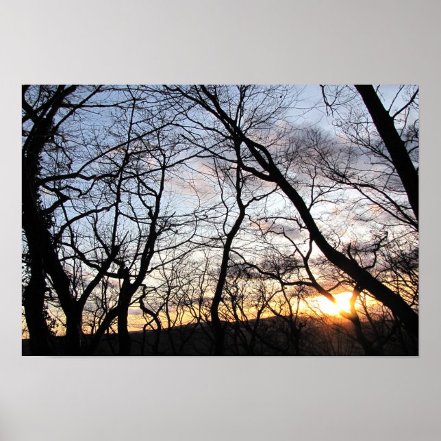 Poster Sunset através de sucursais (Frente)