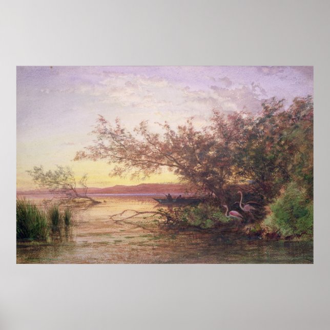 Poster Sunset, Camargue (Frente)