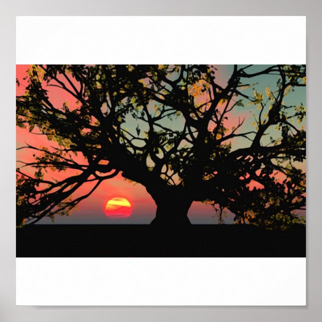 Pôster Sunset de Árvore de Carvalho (Frente)