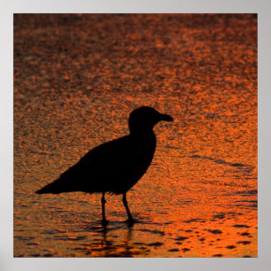 Poster Sunset de cobre