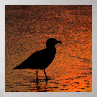 Poster Sunset de cobre