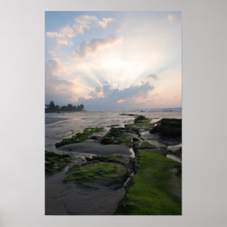 Pôster Sunset de costa norte