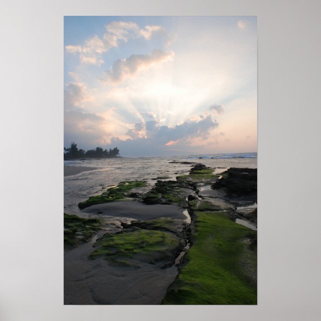 Pôster Sunset de costa norte (Frente)