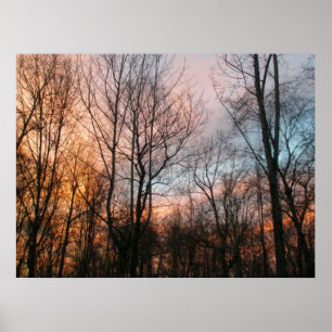 Poster Sunset de inverno
