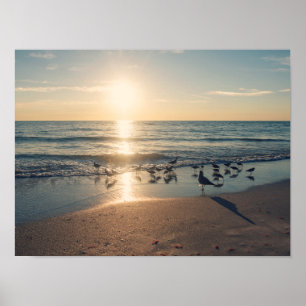 Poster Sunset de Praia da Água Clearwater