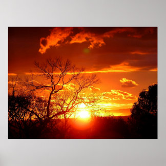 Poster Sunset do Laranja Squash