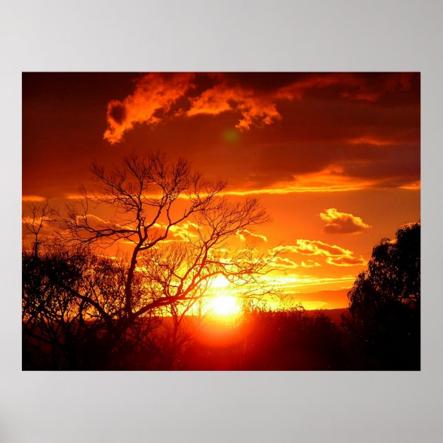 Poster Sunset do Laranja Squash (Frente)