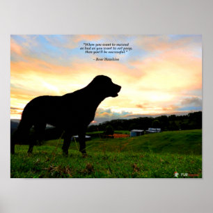 Pôster Sunset e Poop