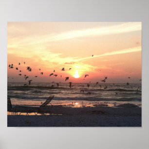 Poster Sunset e Seagulls no quadro de água