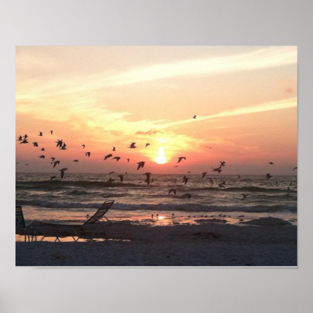 Poster Sunset e Seagulls no quadro de água (Frente)