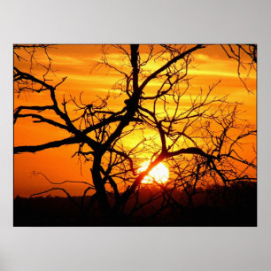 Poster Sunset Entwine