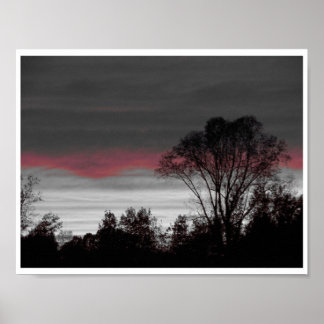 Pôster Sunset exclusivo