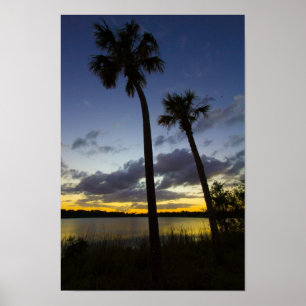 Pôster Sunset, George Lestrange Preserve, Fort Pierce, FL
