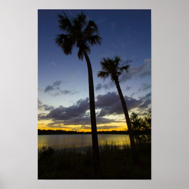 Pôster Sunset, George Lestrange Preserve, Fort Pierce, FL (Frente)