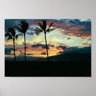 Poster Sunset Havaiano