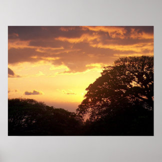 Pôster Sunset II Costa Rica