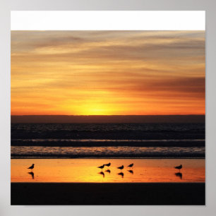 Pôster Sunset in California