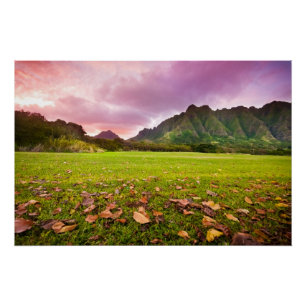 Pôster Sunset Jurássico