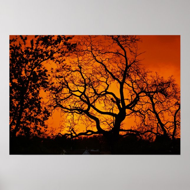 Poster Sunset Laranja (Frente)