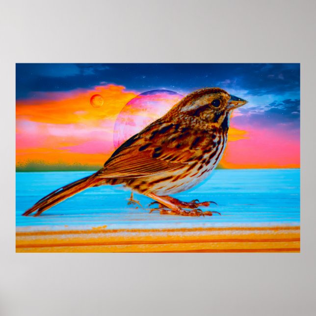 Poster Sunset Melody (Frente)