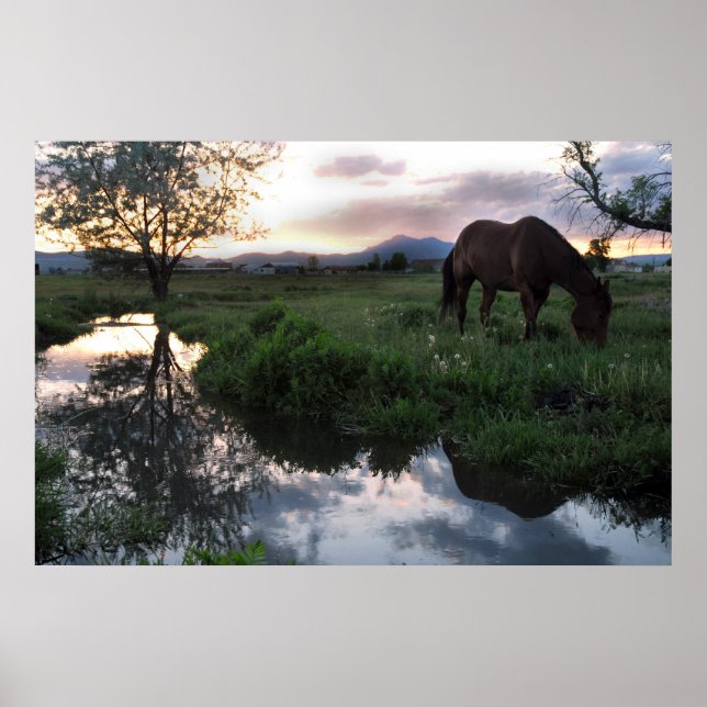 Pôster Sunset natural (Frente)