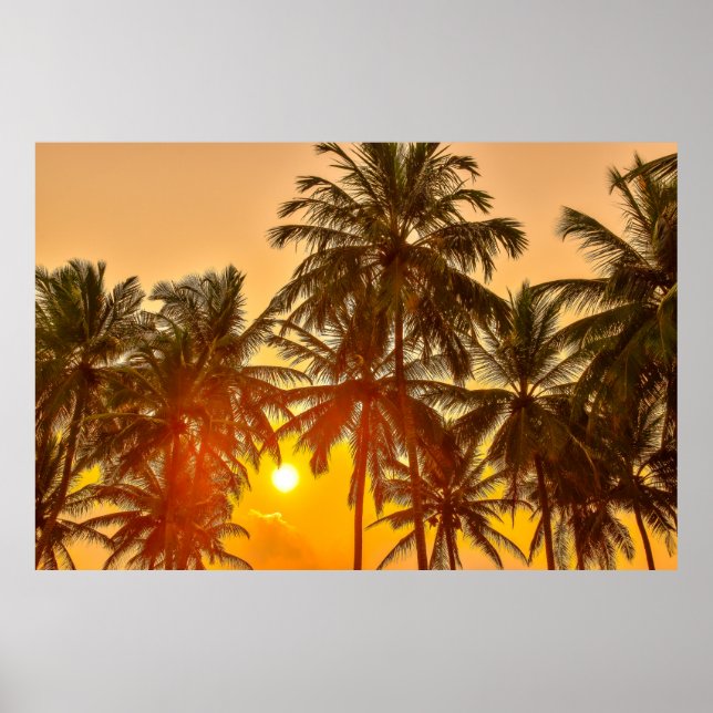 Poster Sunset on the beach of Sri Lanka (Frente)