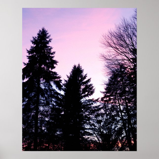 Poster Sunset pinks purple sunsets (Frente)