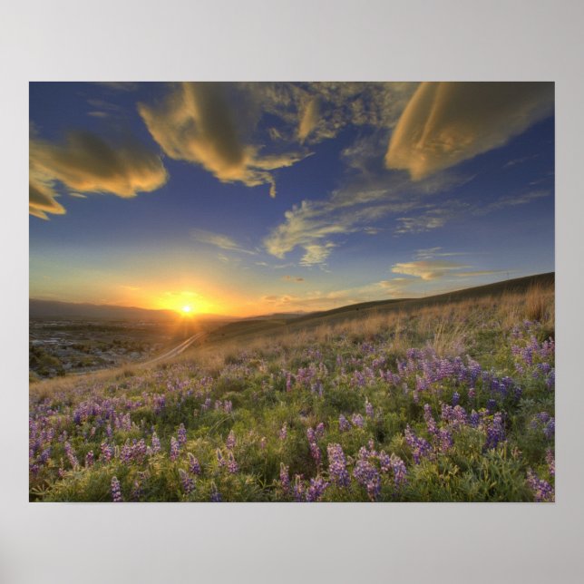 Poster Sunset sobre as Montanhas da Bitterroot e o vasto (Frente)